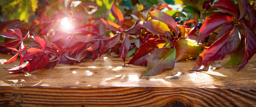 Colorful autumn leaves on rustic wood in sunlight with bokeh and shadows. Horizontal background  for a autumn decoration and space for text.