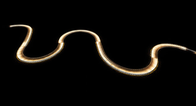 A golden, illuminated snake gracefully curves across a black background. The snake&rsquo;s form creates a flowing, dynamic shape, emphasizing its sinuous movement.