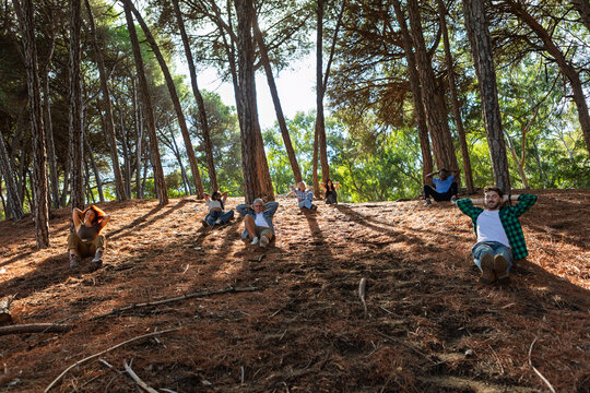 People resting with hands behind head on a sunlit pine forest slope