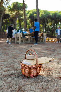 Wicker picnic basket with tomatoes and salami in a pine forest
