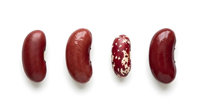 Natural raw red kidney beans with unique speckled pattern arranged in horizontal line on white surface