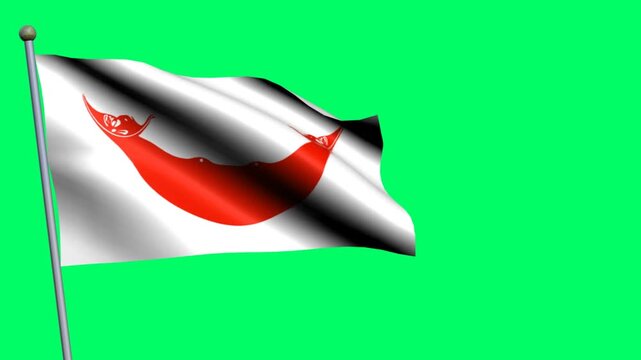 Rapa Nui flag rises from a pole over green screen, exposing symbolic design and textile folds while the textile shifts gently; useful for archive footage, archive projects, and location features.