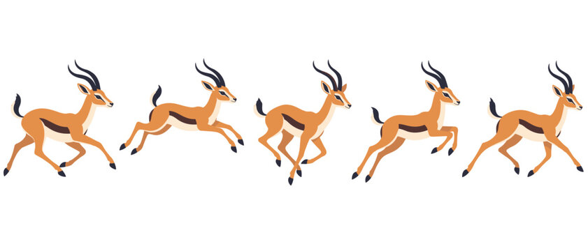 Gazelle running in a sequence of leaping poses
