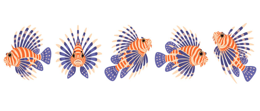 Set of colorful lionfish with striped bodies and fan-shaped fins