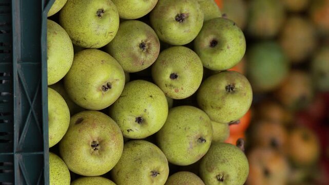 Fresh green pears harvested and displayed at local market