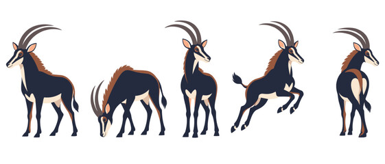 Sable antelope in standing grazing and leaping poses © Andrei