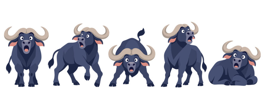 Cartoon buffalo character in five expressive poses