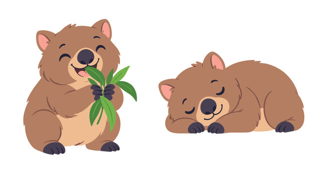 Koala eating eucalyptus beside a sleeping koala
