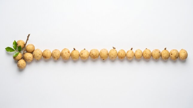 Fresh longkong fruits arranged in a straight horizontal line on a white background.