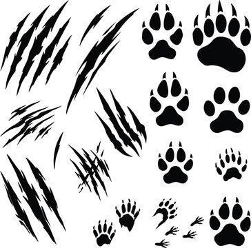 Hand Drawn Animal Paw Prints and Claw Scratch Marks Collection Isolated