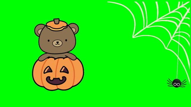 Halloween bear sitting on carved pumpkin with spiderweb and spider in
