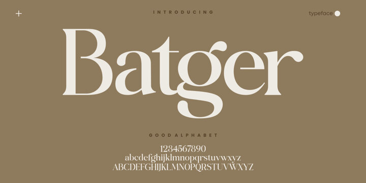 Elegant High Contrast Serif Font for Luxury Fashion Branding and Editorial Design