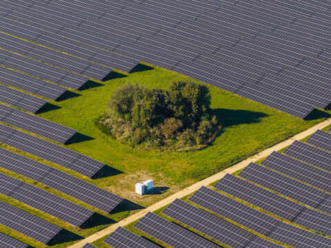 Aerial view of a large solar farm with rows of photovoltaic panels surrounding a small patch of green trees and a white equipment container in Pomeranian Voivodeship, Poland.