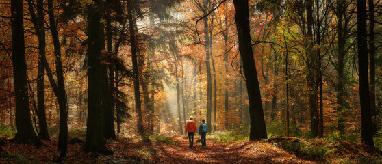 Obraz premium Two people walking in a magical sunny autumn forest with rays of sunlight. Panoramic nature scenery with mist, beams of light and fall colors.