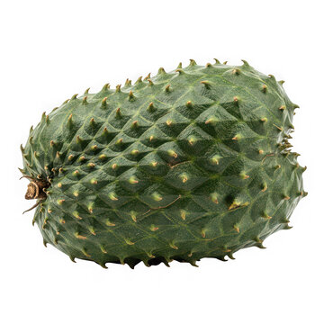 Whole soursop fruit with prickly skin isolated on transparent background