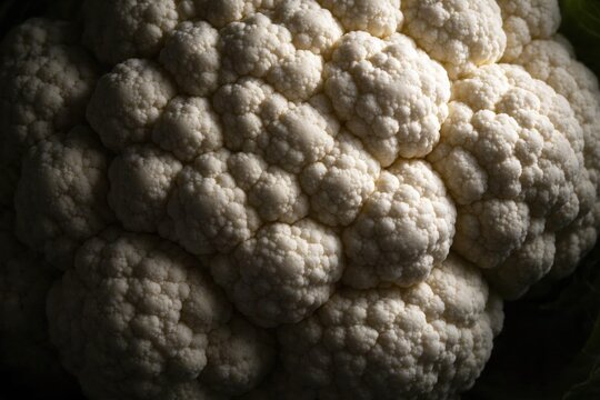 Fresh cauliflower head, tightly packed florets