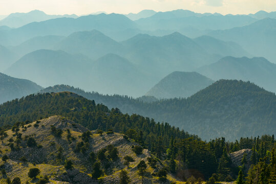 Forested Highland Ridge Overlooks a Sea of Soft Blue Mountains