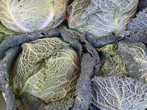 Kohl