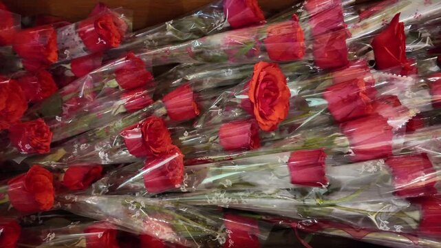 Wrapped red roses for offering at Simala Shrine in Cebu