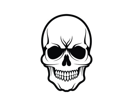 Human skull line art vector illustration isolated on white background