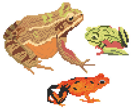 Pixel Art Frog Collection - Common, Tree, and Poison Dart Frogs