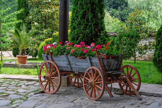 Wooden cart with blooming flowers in Troyan Monastery courtyard