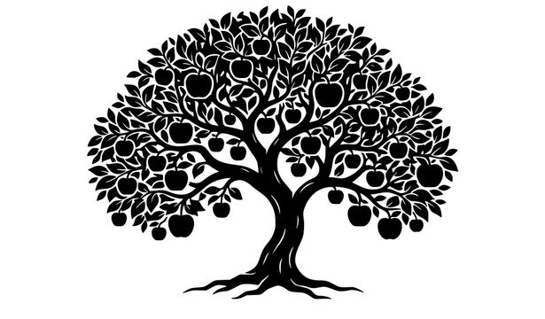 Mature Apple Orchard Tree Black Silhouette Fruit and Foliage Vector
