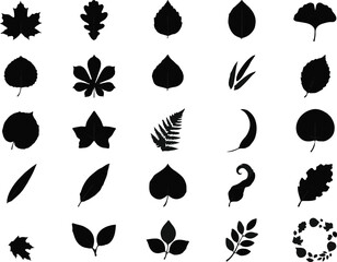 Obraz premium Autumn leaves silhouette collection for seasonal nature design