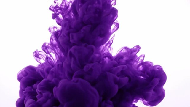 abstract purple ink swirling and dissolving in water on white