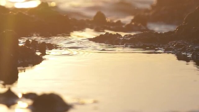Golden sunset light reflecting on calm ocean tide pools among dark
