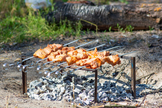 Fresh meat skewers grilling over hot charcoal embers in a rustic outdoor forest setting