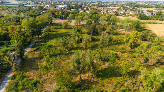 Aerial view of the Po River landscape with exposed riverbed and dry vegetation caused by summer drought in Castelvetro Piacentino, Emilia-Romagna, Italy.