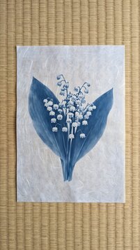 Lily of the Valley Botanical Cyanotype Sun Print on Textured Paper