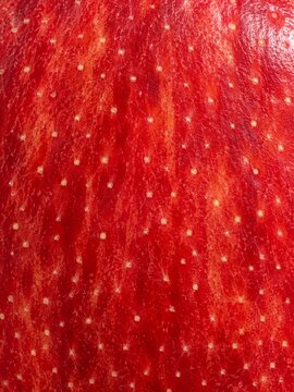 apple background