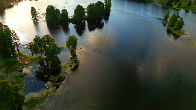 Aerial view of a serene lake in Tampa featuring cypress trees rising from the water, lily pads, and golden reflections at sunset in Tampa, Florida, United States.
