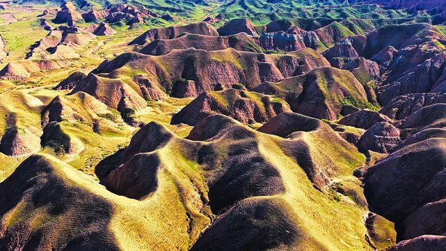 High angle view reveals rolling colorful landforms and layered rock ridges of Danxia landform under sunlight.