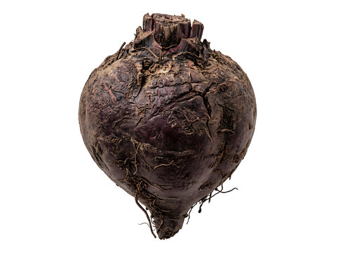 Fresh raw beetroot isolated on transparent background