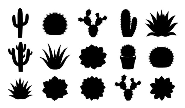 Black and White Cactus and Succulent Silhouette Set with Saguaro, Agave, Aloe and Desert Plants Isolated Vector