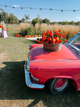 Orange flowers in a basket on a red vintage car at a sunny pumpkin