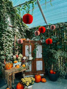 Rustic cabinet decorated with orange paper pumpkins and fresh gourds