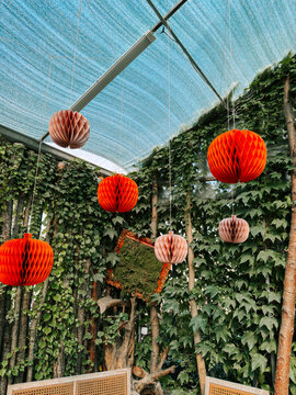 Colorful paper lanterns under a blue canopy above ivy-covered walls