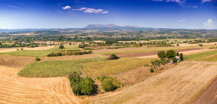 Farmland with rows of crops extending to a rural road, green trees, and distant Rtanj Mountain under a clear blue sky in Serbia