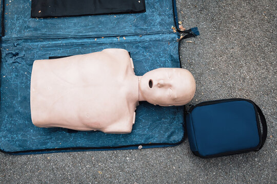 CPR mannequin torso used for medical emergency training and rescue education on safety courses and health awareness