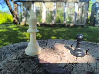 Two kings confront each other, a metaphor for tense peace negotiations and diplomacy. © nicolas