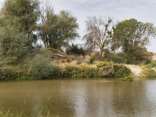 Natural landscape along a riverbank with trees and vegetation in the background © Piotr