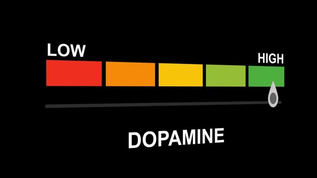 Dopamine level meter gauge with progress indicator and performance.Dopamine text shown representing varying levels of dopamine activity and its impact on mood, motivation, and neurological function.
