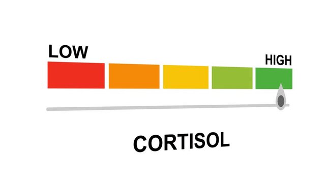 Cortisol gauge level progress indicator from low to high.Cortisol text varying levels of stress response, energy regulation, and health impact.