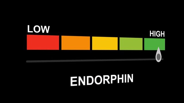 Endorphin gauge level progress indicator from low to high.Endorphin text or word displayed showing levels from low to normal to high, symbolizing emotional well-being and mood regulation.