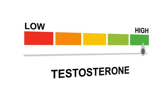 Testosterone gauge level progress indicator from low to high.Testosterone text or word with a barometer or tachometer-style gauge,varying levels of testosterone in the body and its impact on health.