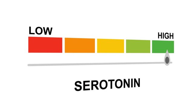 Serotonin gauge level progress indicator from low to high.Serotonin text or word with a barometer or tachometer-style gauge, varying levels of serotonin and their effects on mood and mental health.